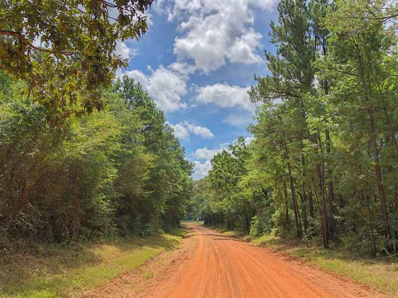 55 Acres Cr 4223 Ranch for Sale in Jacksonville, Cherokee County