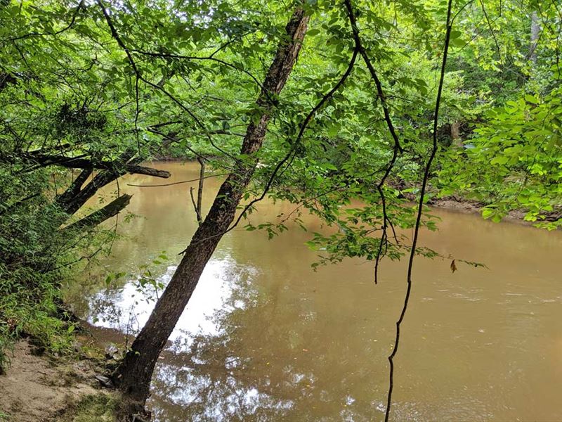 Strength Oxbow Property : Daleville : Dale County : Alabama