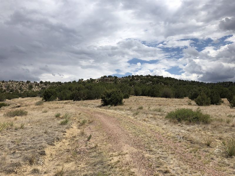 Old Saddle Ranch : Pueblo : Pueblo County : Colorado