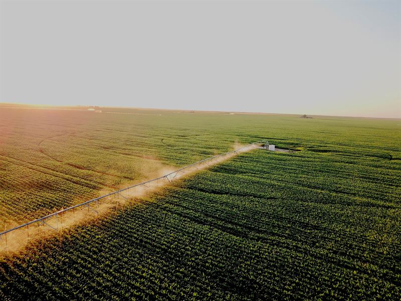 Eastern Colorado Irrigated Farm, Ranch for Sale in Colorado, 207855