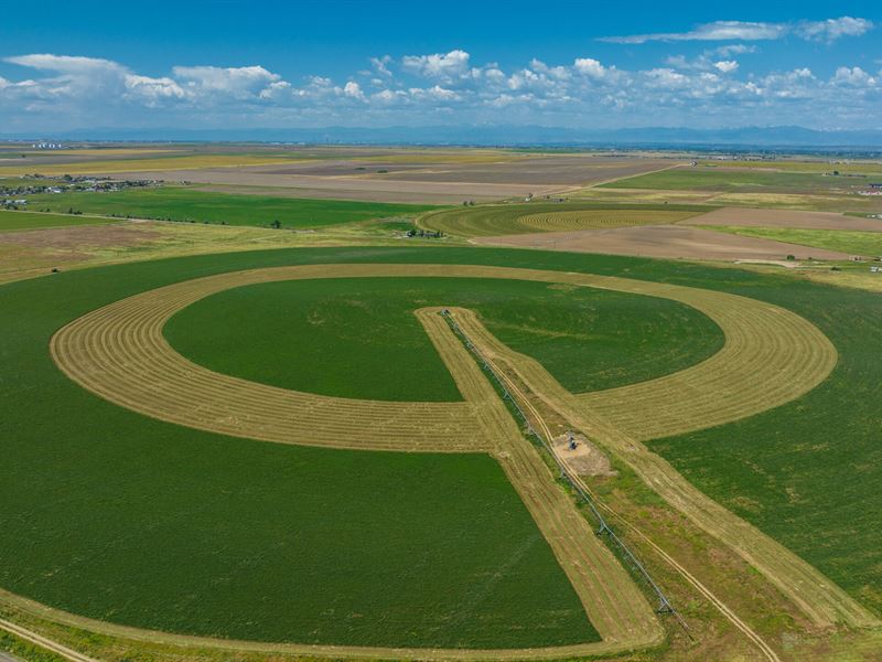 Emerald Sod Farm : Commerce City : Adams County : Colorado