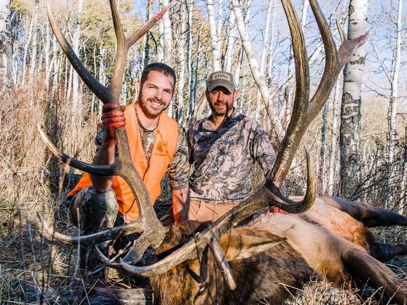 Diamond T Ranch : Oak Creek : Routt County : Colorado