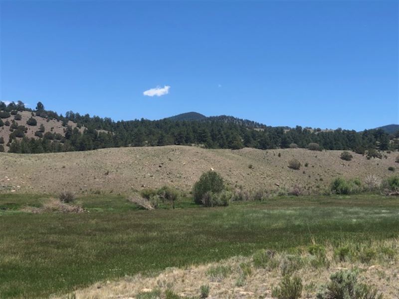 Big O Ranch Lot : Westcliffe : Custer County : Colorado