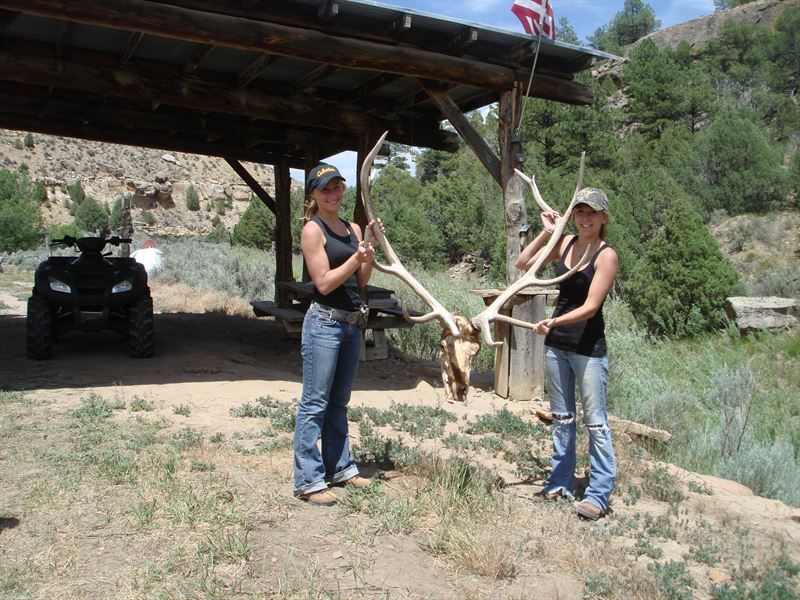 Ekko Ranch : Cebolla : Rio Arriba County : New Mexico