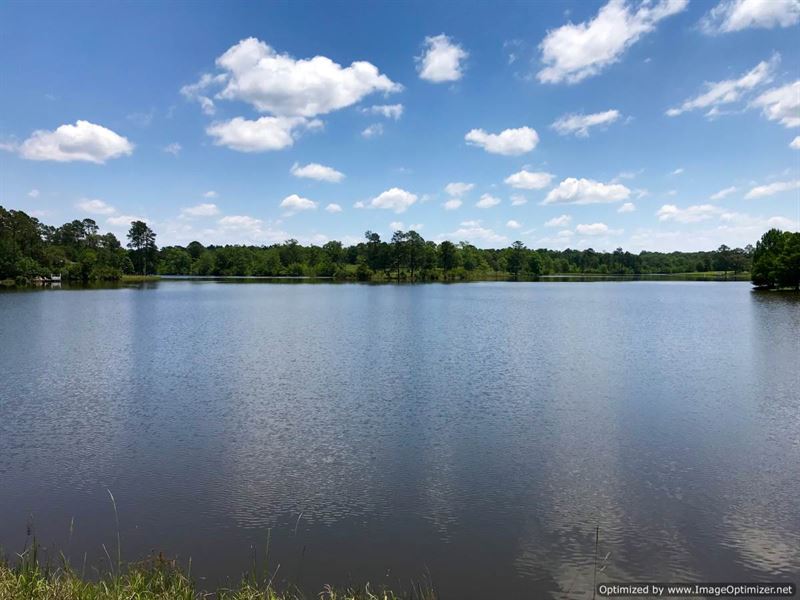 Beautiful Family Homesite with Lake : Perkinston : Stone County : Mississippi