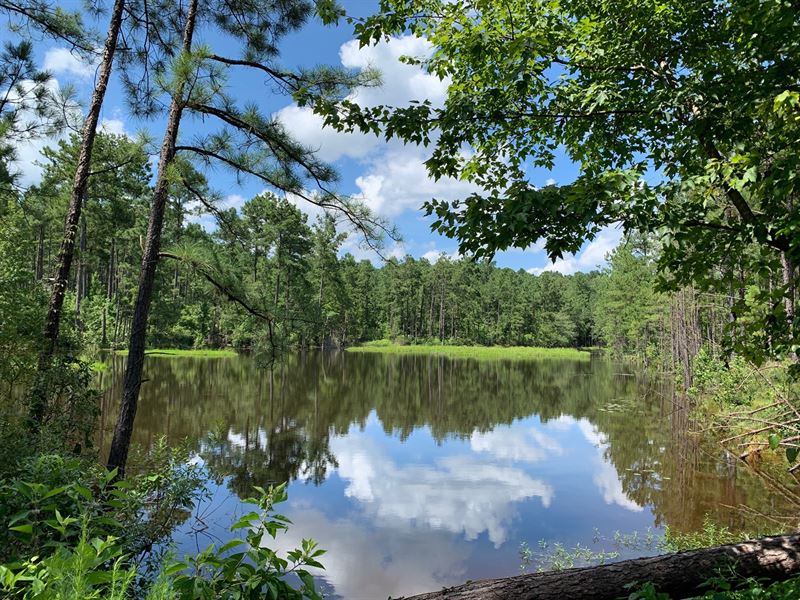 Pine Land, Utilities Small Pond, Ranch for Sale in Arkansas, 209074