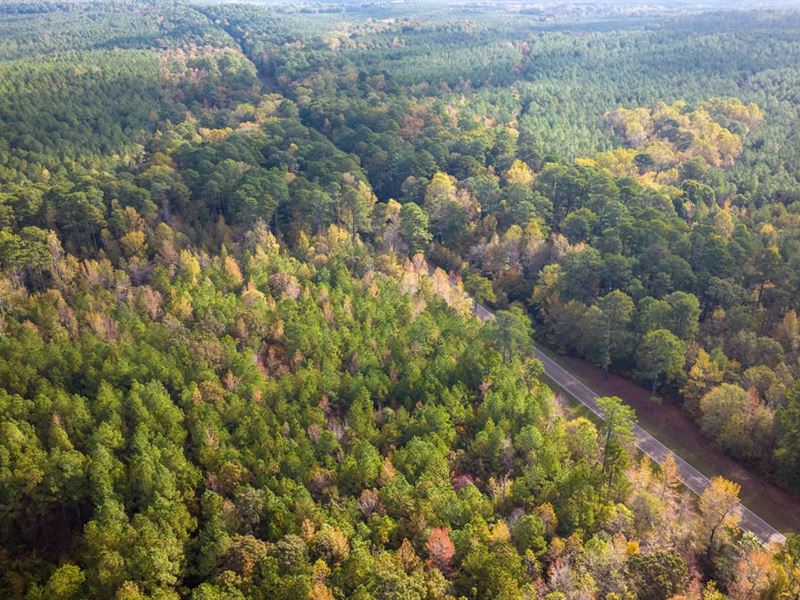Choctaw County -86 Acres, Natchez : French Camp : Choctaw County : Mississippi
