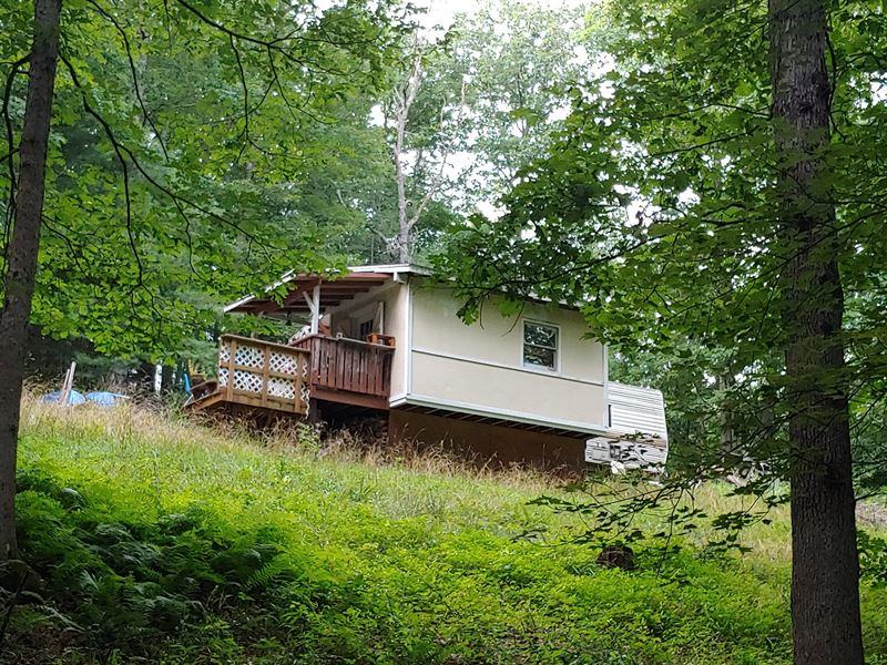 Secluded Recreational Land Wythe : Max Meadows : Wythe County : Virginia