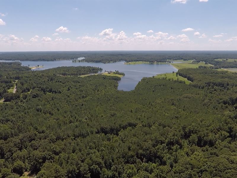 47+ Acres Near Recreational Lake : Huntingdon : Carroll County : Tennessee