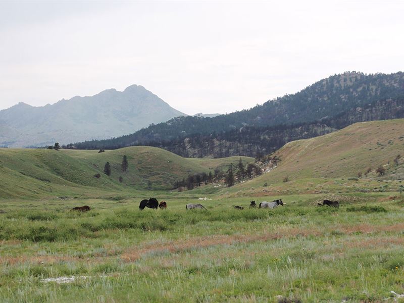 Marble Creek Ranch : Wheatland : Platte County : Wyoming