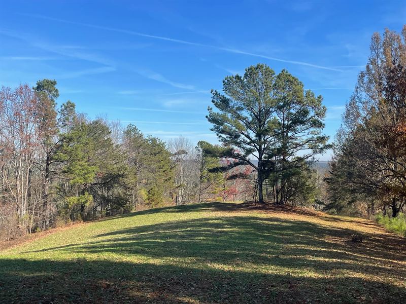 Tuscaloosa County, Turkey Ridge : Windham Springs : Tuscaloosa County : Alabama