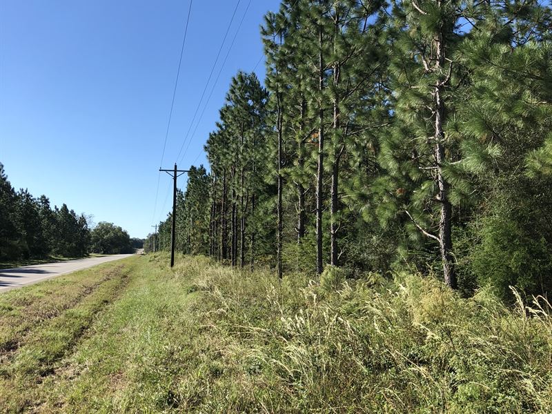 Price Reduced Flat Creek Hwy 153 : Samson : Geneva County : Alabama