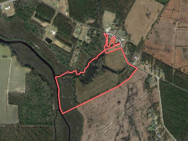 44.49 Acres of Re : Newport : Carteret County : North Carolina