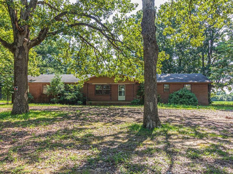 Country Home Acreage in Michie, TN, Ranch for Sale in Tennessee