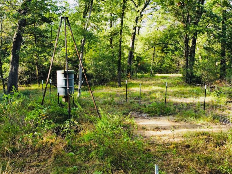 83 Acre Recreational Hunting Proper : Tennessee Colony : Anderson County : Texas