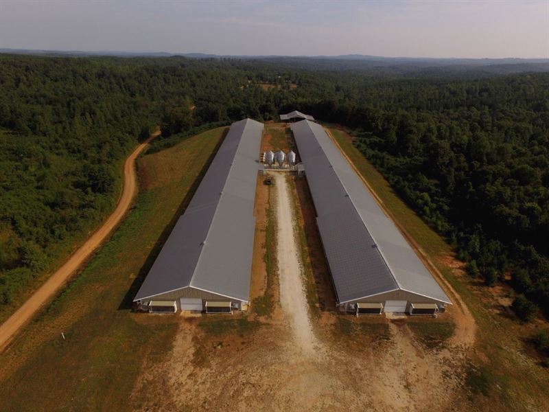 Class a Broiler Farm, House : Lineville : Randolph County : Alabama