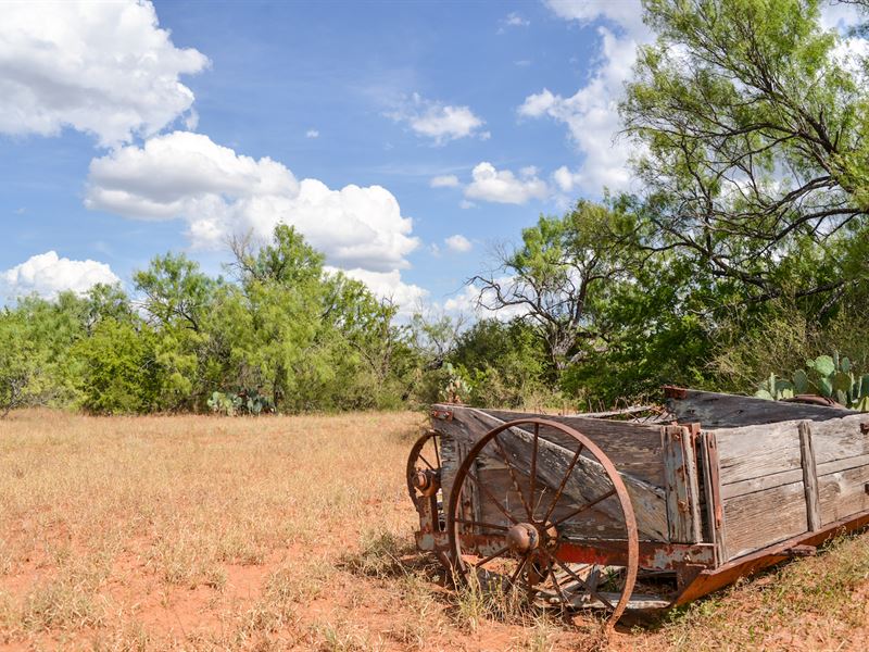 The Jen Ranch : Dilley : Frio County : Texas