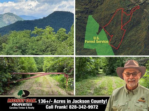 136 Acres Beautiful Wooded Land : Cullowhee : Jackson County : North Carolina