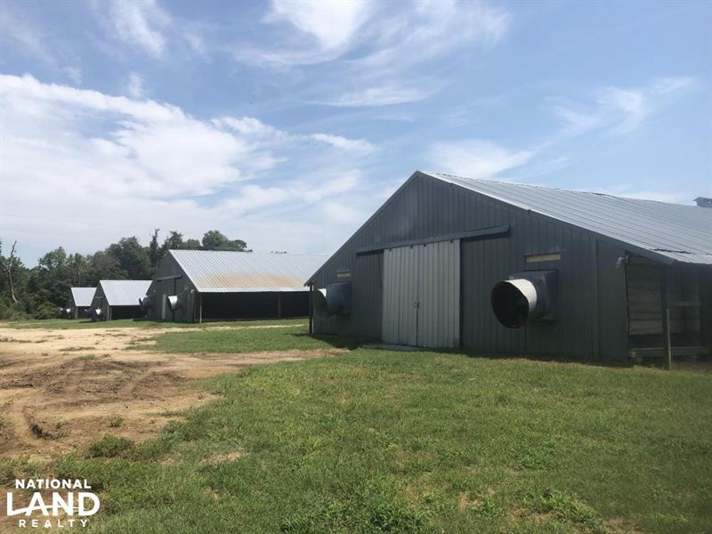 Cordova Chicken Farm : Cordova : Orangeburg County : South Carolina