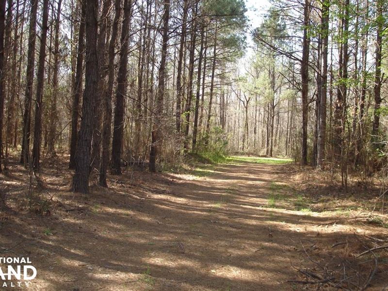 Big Brush Creek Hunting Retreat : Sawyerville : Hale County : Alabama