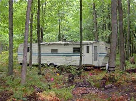 Rustic Hunt Camp : Baldwin : Lake County : Michigan