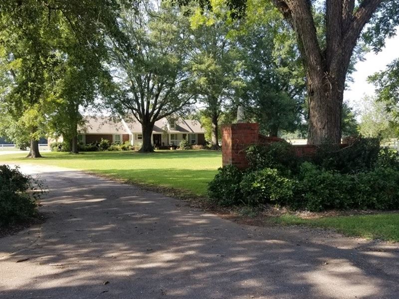 178 Acre Hunting, Recreational, Ranch for Sale in Louisiana, 210800