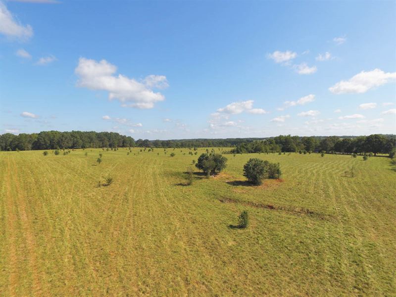 45 Acre Farm Northern Cherokee Co : Gaffney : Cherokee County : South Carolina