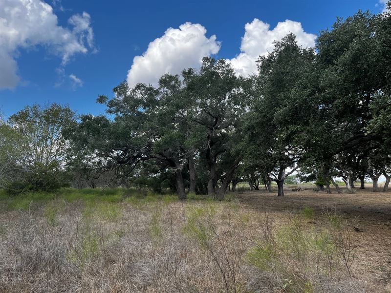 Tdb FM 237 Meyersville : Meyersville : Dewitt County : Texas