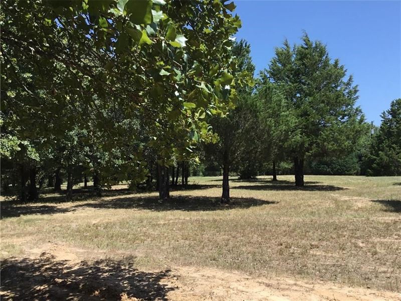 Texas Land 20 Acres for Sale, Ranch for Sale in Texas, 211274 RANCHFLIP