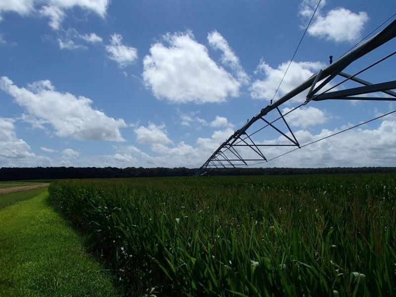 2,870 Acres in Lowndes County Trip : Crawford : Lowndes County : Mississippi
