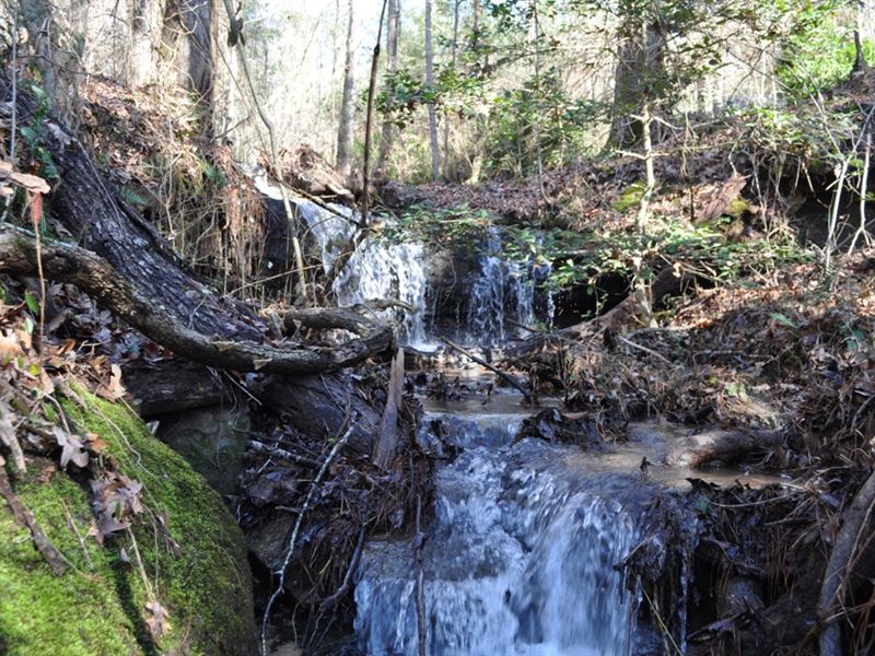Rock Outcroppings & Waterfalls : Hamilton : Marion County : Alabama