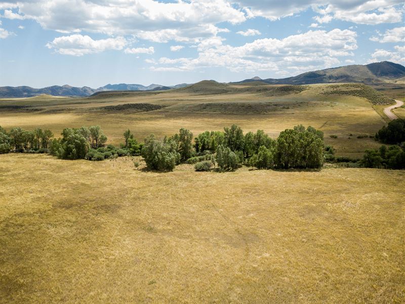 Quarter Circle Lazy H Ranch-Lot : Livermore : Larimer County : Colorado