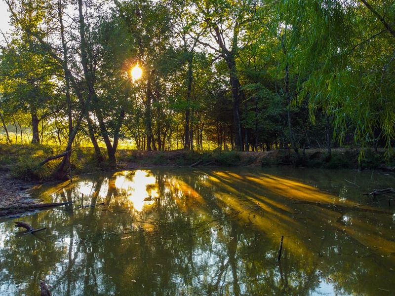 112 Acre Recreational Land in Lamar : Sumner : Lamar County : Texas