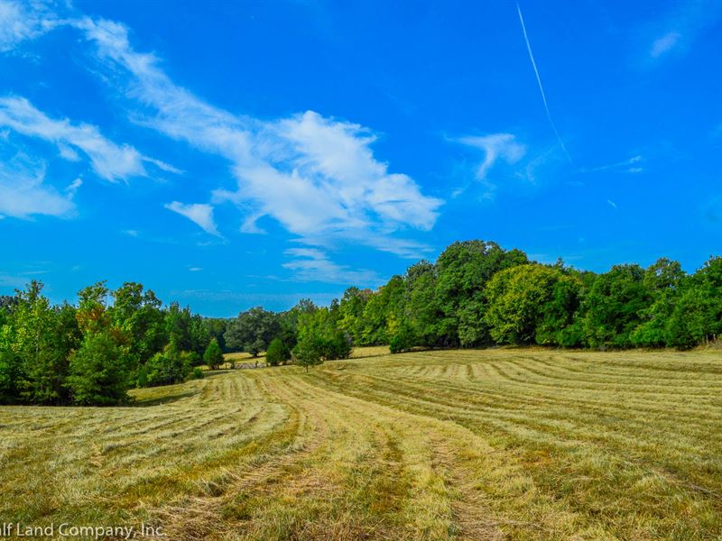 12 Acre Riverfront Property Pauline, Ranch for Sale in South Carolina