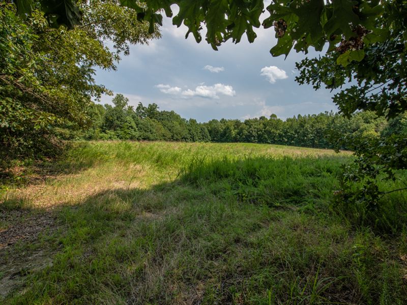 Ag and Hunting Tract, Pond : Pelham : Caswell County : North Carolina
