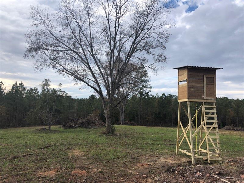 Deer and Turkey Hunters Dream Tract : Shiloh : Harris County : Georgia