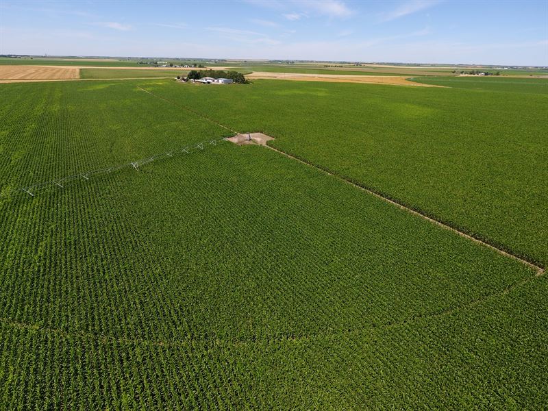 Libsack Pivot : Alliance : Box Butte County : Nebraska