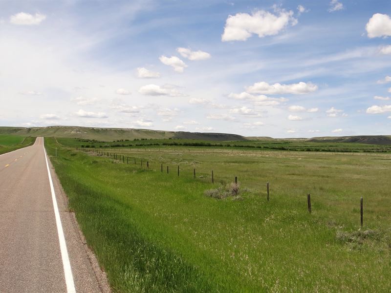 Northern Montana Land Auction : Kevin : Toole County : Montana