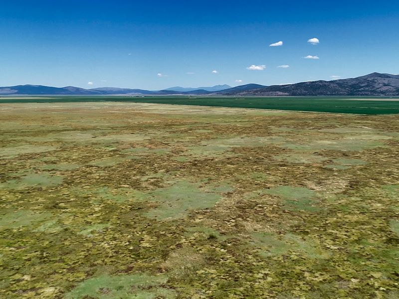 Hemp Farm Paradise : Madeline : Lassen County : California