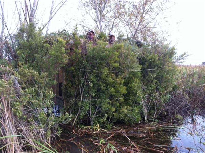 Crawfish/Duck Pond Tract, Iber : Lydia : Iberia Parish : Louisiana