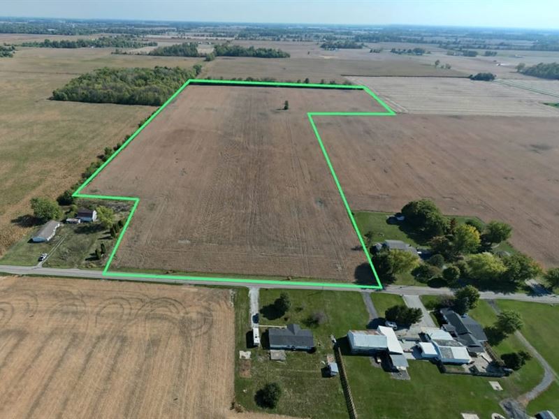 40 Acres, Tillable Ground, Madiso : Alexandria : Madison County : Indiana