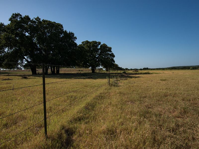 Prime Pasture Land for Sale, Ranch for Sale in Texas, 212788 RANCHFLIP