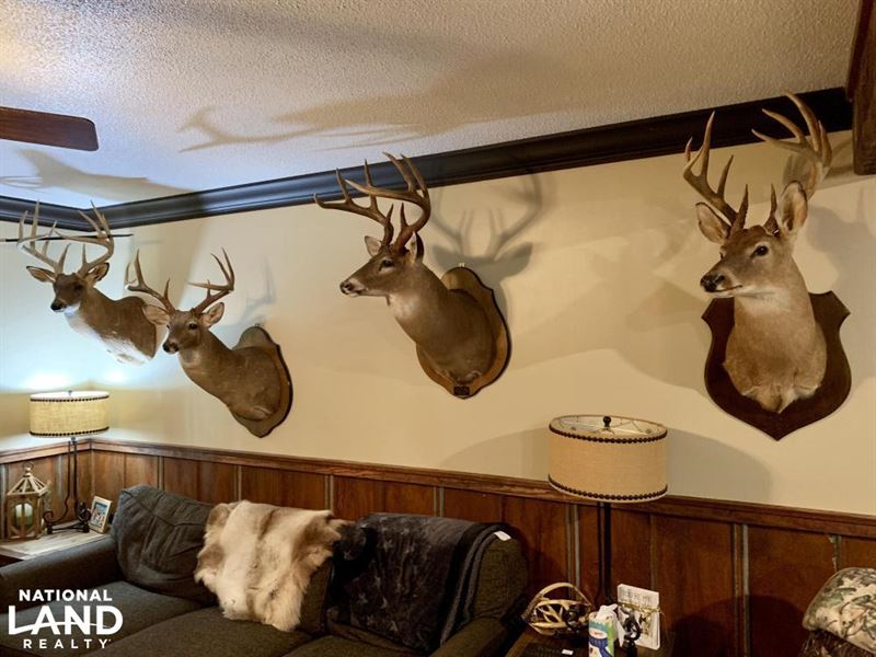 Horse Creek Lodge Hunting & Timber : Putnam : Marengo County : Alabama