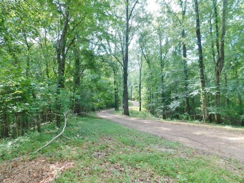 32.81 Acres Surveyed Land for Sale : Natchez : Adams County : Mississippi