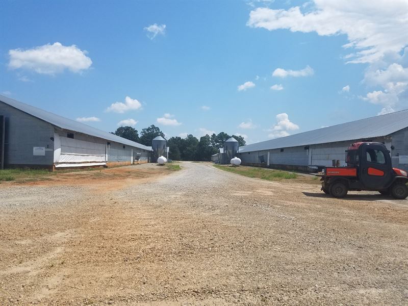 Poultry Farm,Taylorsville,Nc 4 : Taylorsville : Alexander County : North Carolina