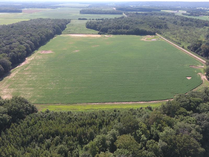 40 Acre Farm, Big Deer & Turkey : Russell : White County : Arkansas