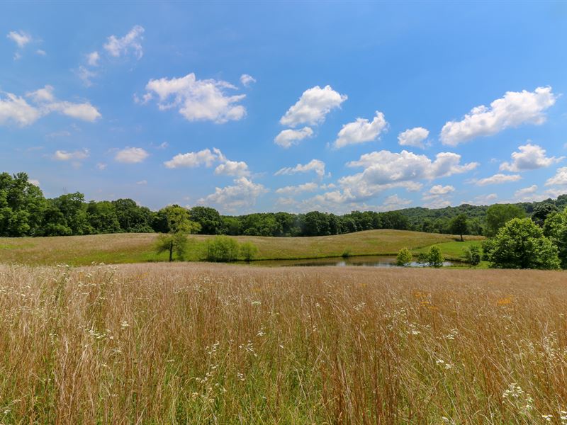 Rural Dale Rd, 40 Acres, Ranch for Sale in Ohio, 213072 RANCHFLIP