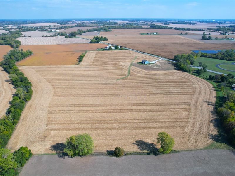 32 Acres, Tillable or New Home : Lapel : Madison County : Indiana