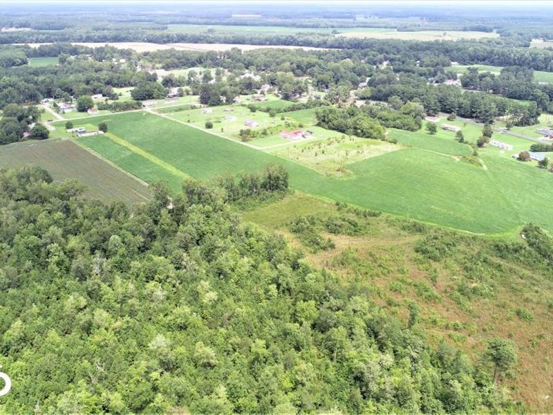 Kelford Farmland Ranch for Sale in Kelford, Bertie County, North