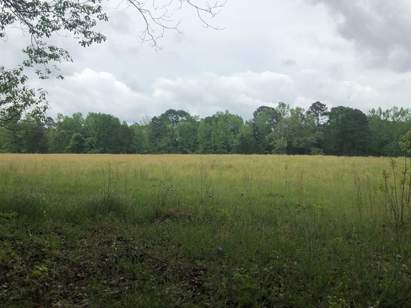 Beautiful Pasture Land For Sale Ranch for Sale in Bronson, Sabine